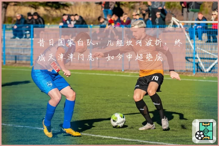 昔日国家白队,几经坎坷波折,终成天津津门虎,如今中超垫底