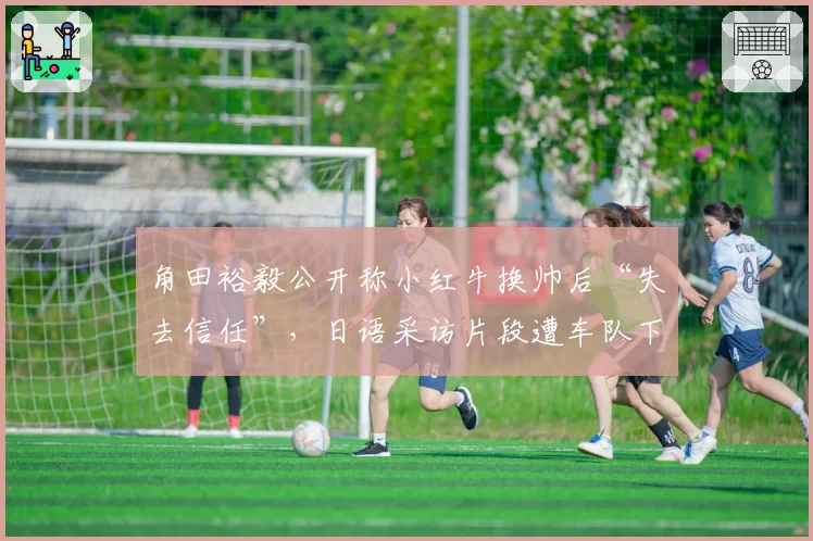 角田裕毅公开称小红牛换帅后“失去信任”，日语采访片段遭车队下架