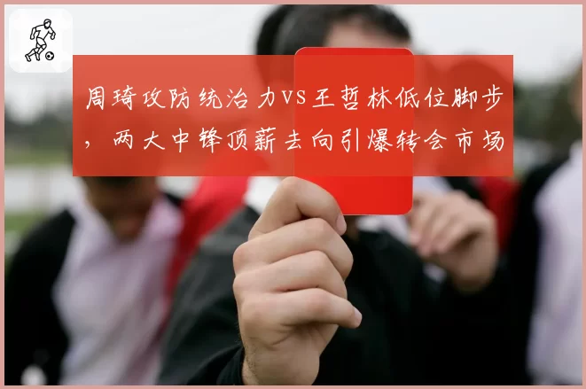 周琦攻防统治力vs王哲林低位脚步,两大中锋顶薪去向引爆转会市场