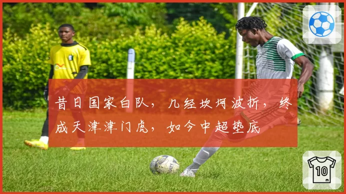 昔日国家白队，几经坎坷波折，终成天津津门虎，如今中超垫底