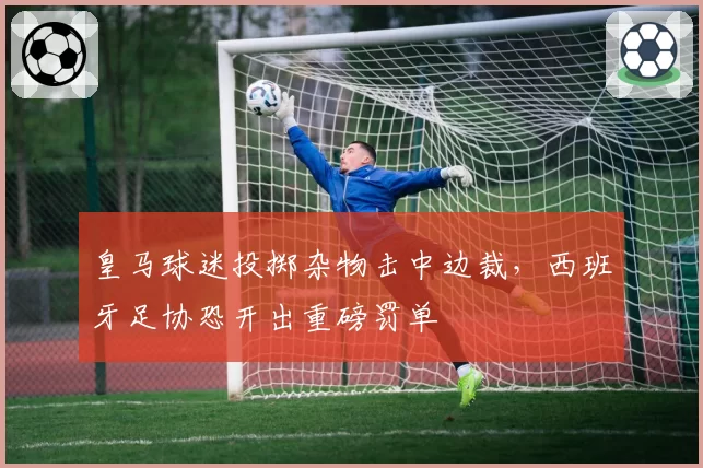 皇马球迷投掷杂物击中边裁，西班牙足协恐开出重磅罚单