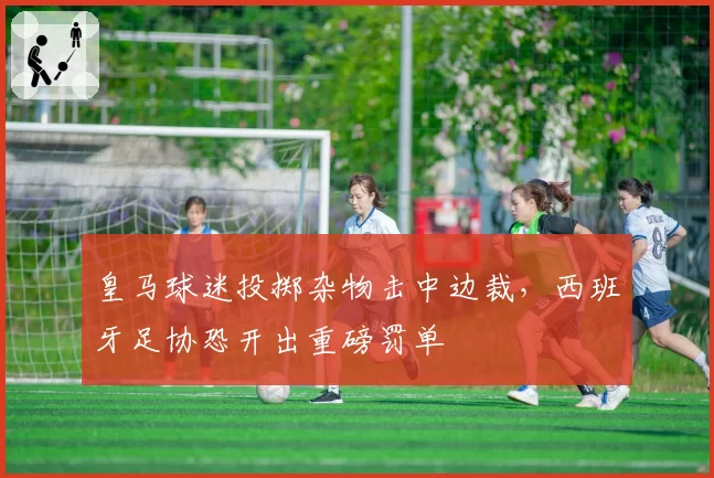 皇马球迷投掷杂物击中边裁，西班牙足协恐开出重磅罚单
