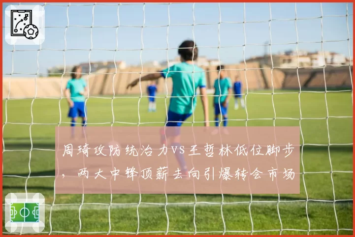 周琦攻防统治力vs王哲林低位脚步,两大中锋顶薪去向引爆转会市场